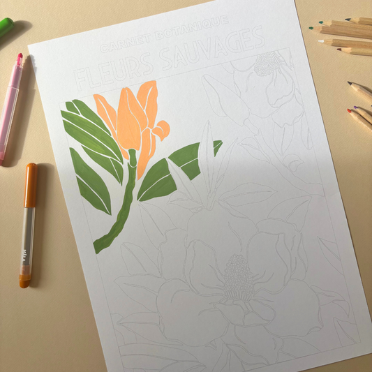 Grande affiche à colorier - Fleurs sauvages | 30x40cm