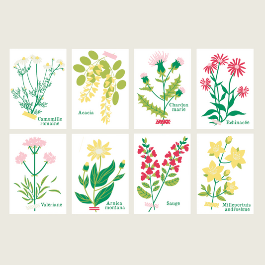 Cartes à peindre par numéros - Cueillettes | 8 cartes