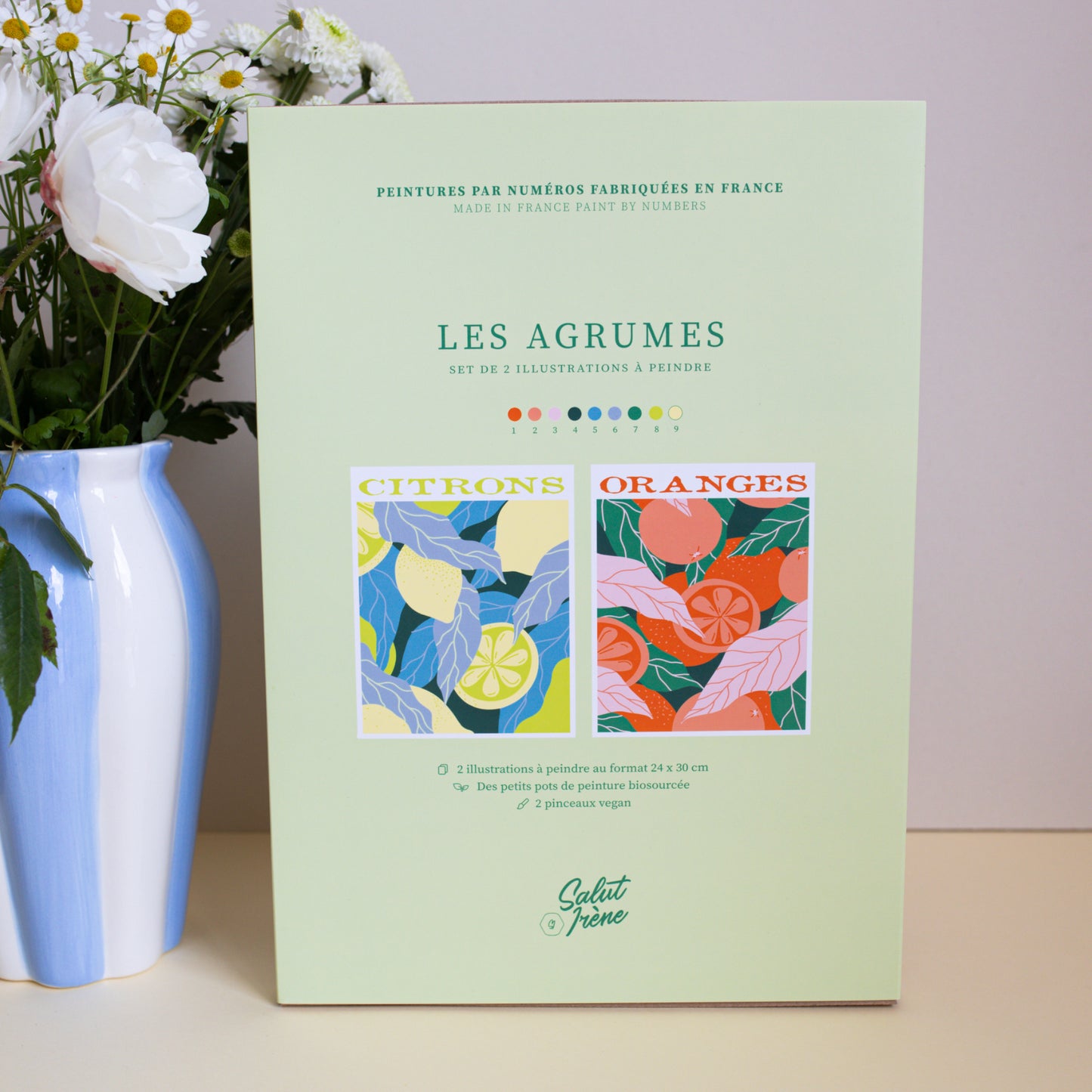 Kit peinture par numéros - Les agrumes | Duo 24x30cm