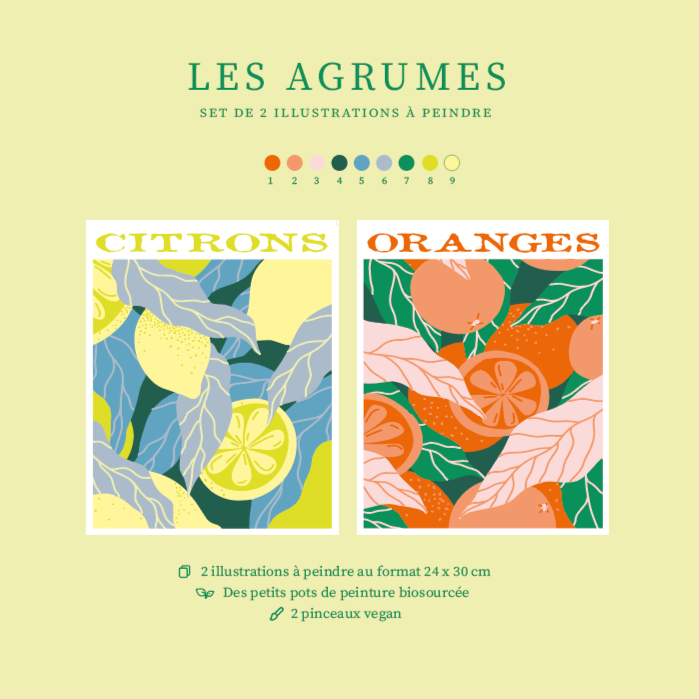Kit peinture par numéros - Les agrumes | Duo 24x30cm