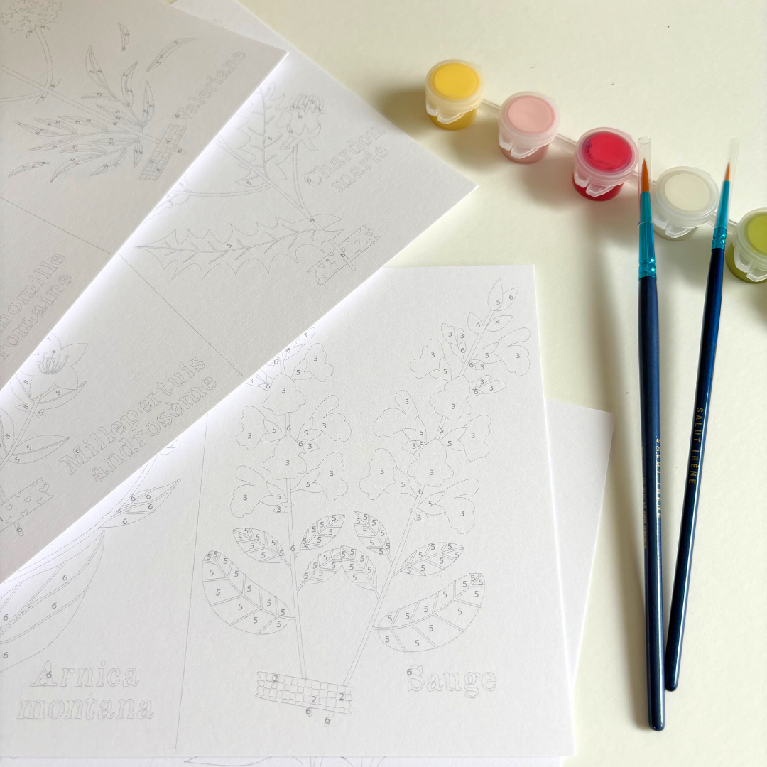 Cartes à peindre par numéros - Cueillettes | 8 cartes