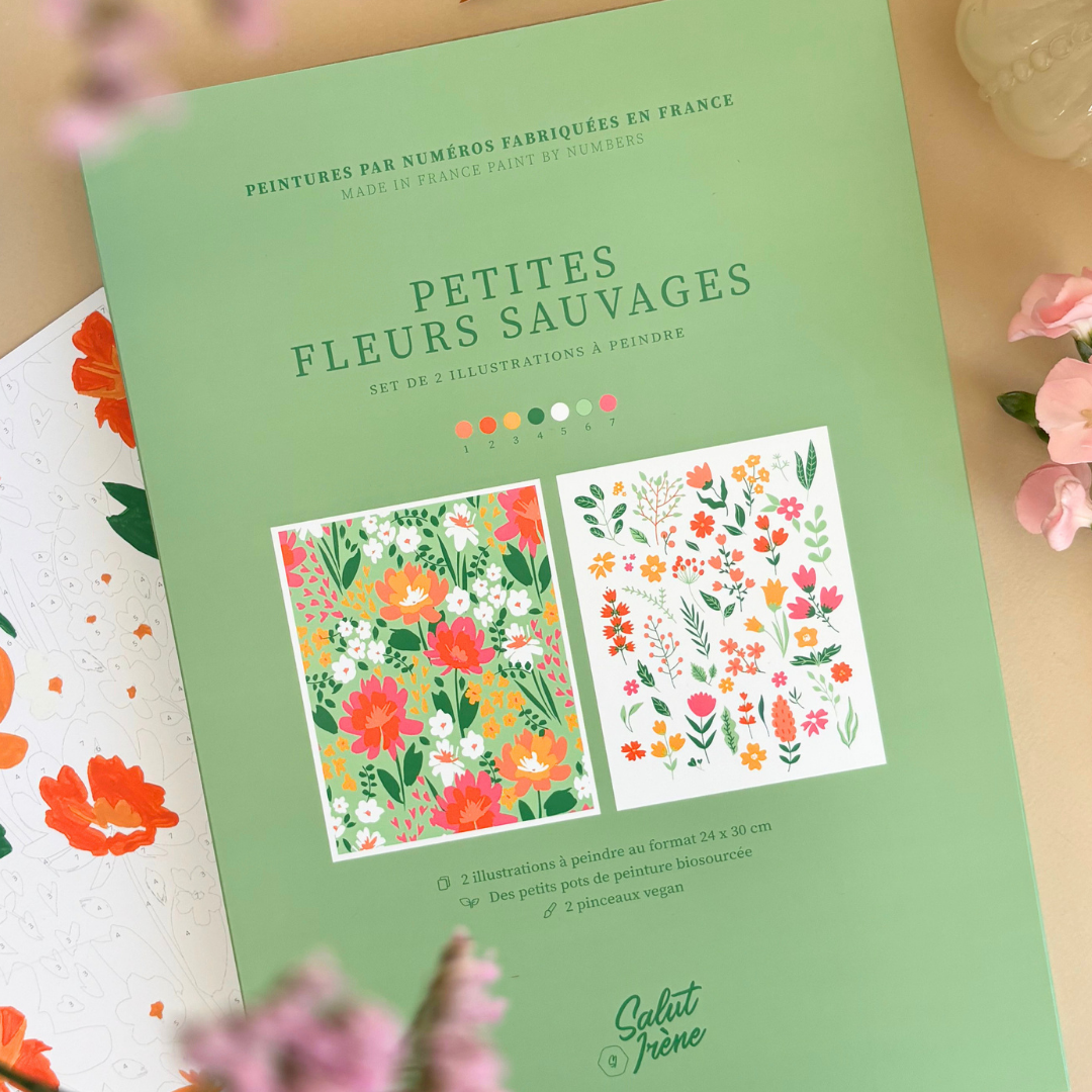 Kit peinture par numéros - Petites fleurs sauvages | Duo 24x30cm
