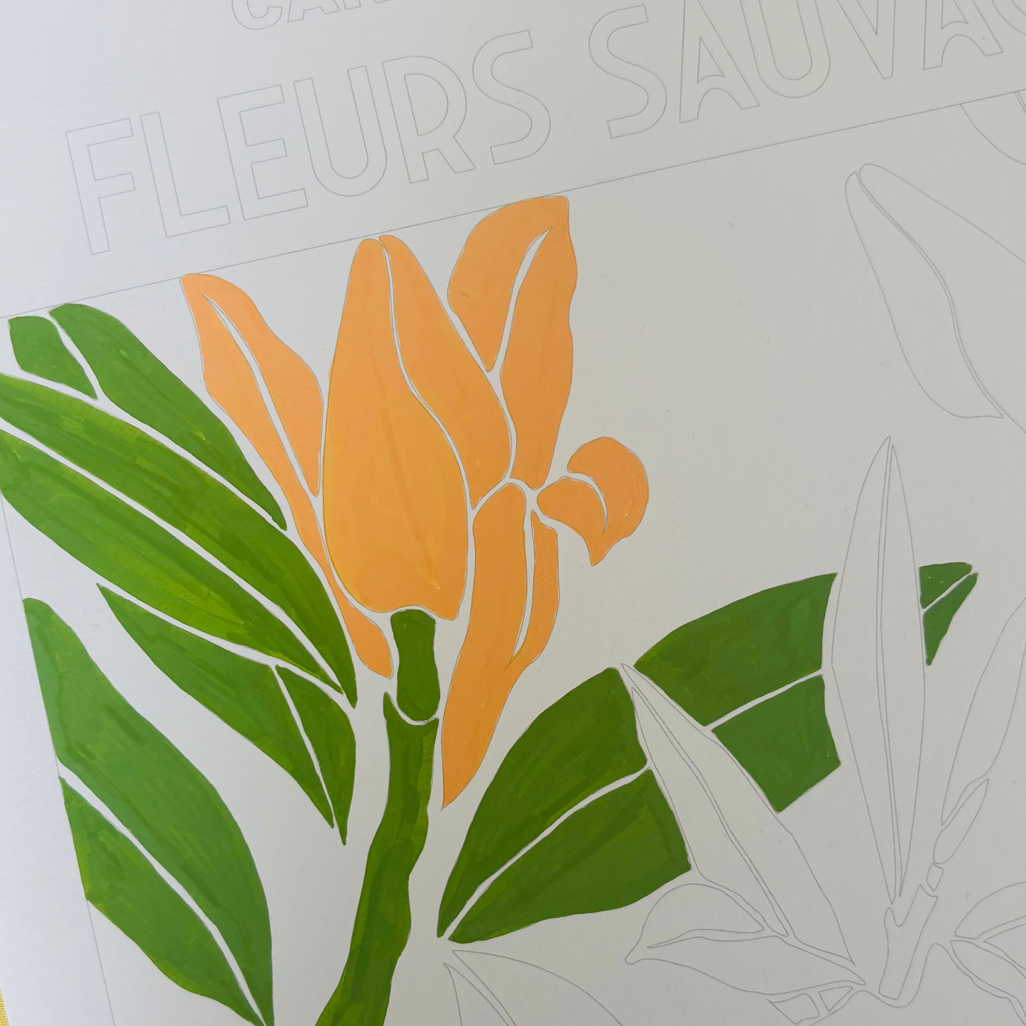 Grande affiche à colorier - Fleurs sauvages | 30x40cm